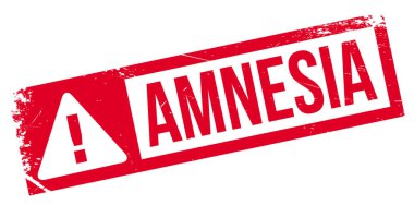 Amnezi pencere boyutu