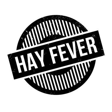 Saman nezlesi pencere boyutu