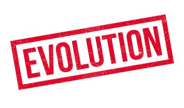 Evrim pencere boyutu