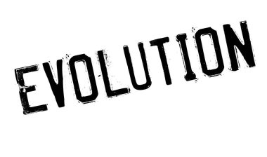 Evrim pencere boyutu