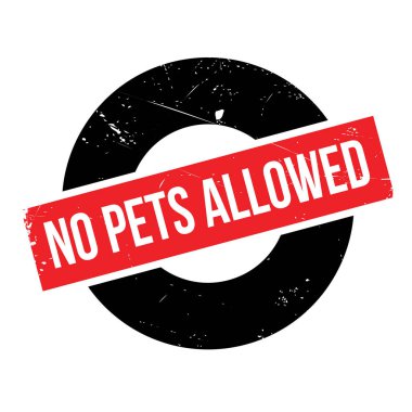 Hiçbir evcil hayvan pencere boyutu