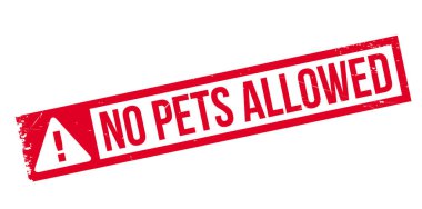 Hiçbir evcil hayvan pencere boyutu