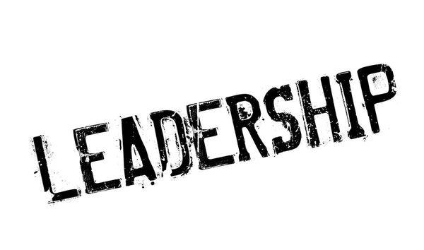 Führungsqualitäten — Stockvektor