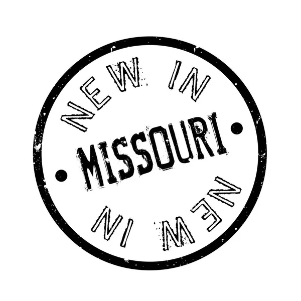 İçinde yeni Missouri pencere boyutu — Stok Vektör