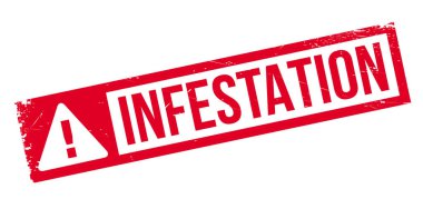 İstila pencere boyutu