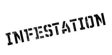 İstila pencere boyutu