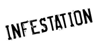 İstila pencere boyutu