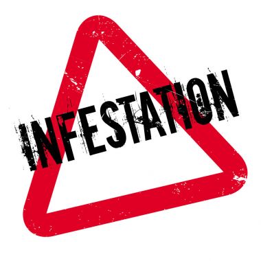 İstila pencere boyutu