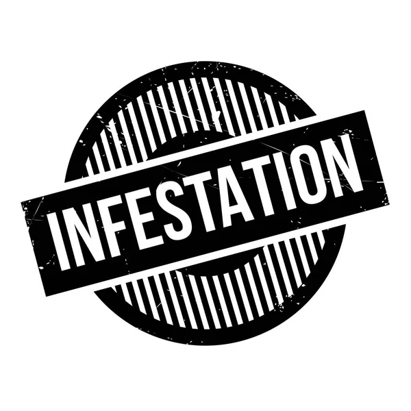 İstila pencere boyutu