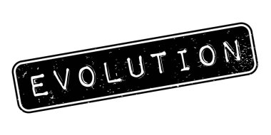 Evrim pencere boyutu