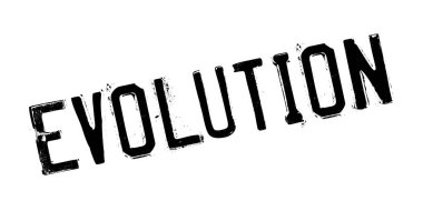 Evrim pencere boyutu