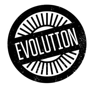 Evrim pencere boyutu