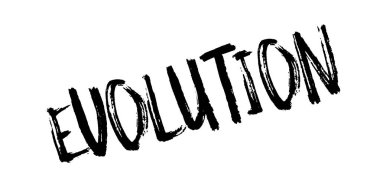 Evrim pencere boyutu