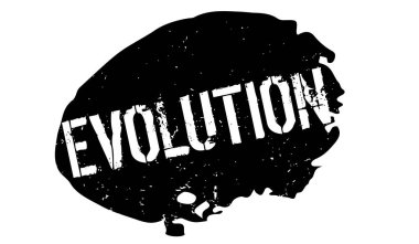 Evrim pencere boyutu