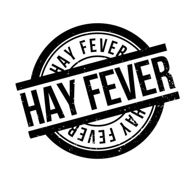 Saman nezlesi pencere boyutu