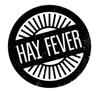 Saman nezlesi pencere boyutu