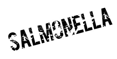 Salmonella pencere boyutu