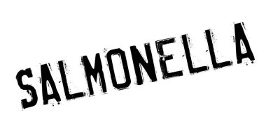 Salmonella pencere boyutu