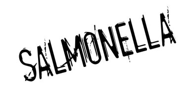 Salmonella pencere boyutu