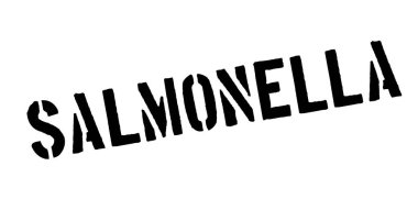 Salmonella pencere boyutu