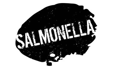 Salmonella pencere boyutu