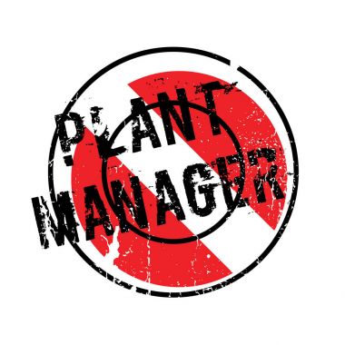 Fabrika Müdürü pencere boyutu