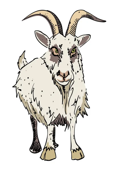 ヤギの漫画画像 — ストックベクタ