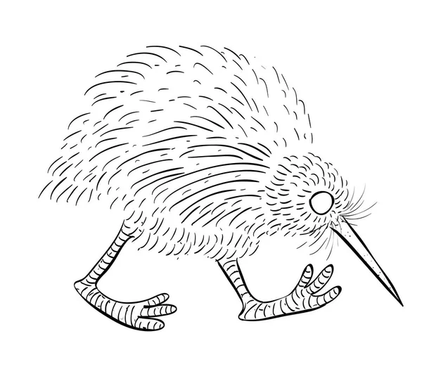 Karikatur eines Kiwi-Vogels — Stockvektor