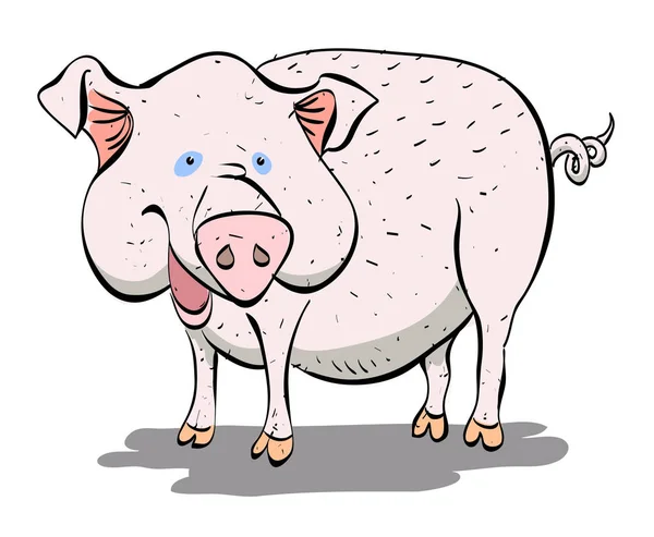 Cartoon-Bild von Schwein — Stockvektor