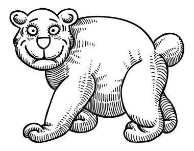 Ayının çizgi film resim