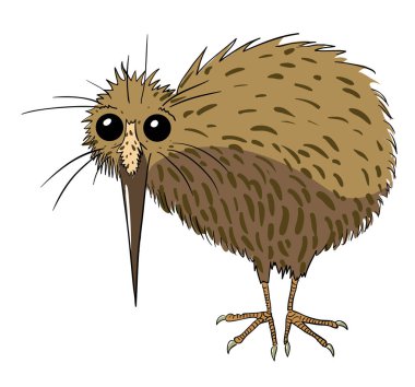 Cartoon image of kiwi bird