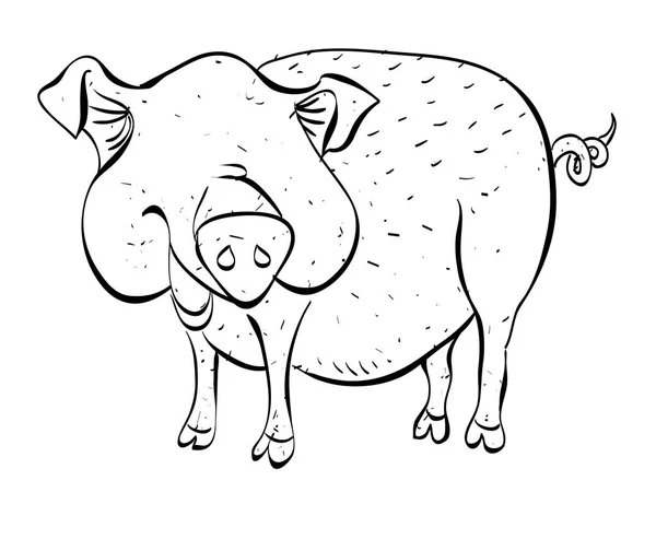 Cartoon-Bild von Schwein — Stockvektor