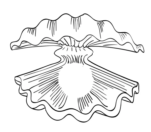 Καρτούν εικόνα του στρειδιού με μαργαριτάρι — Διανυσματικό Αρχείο