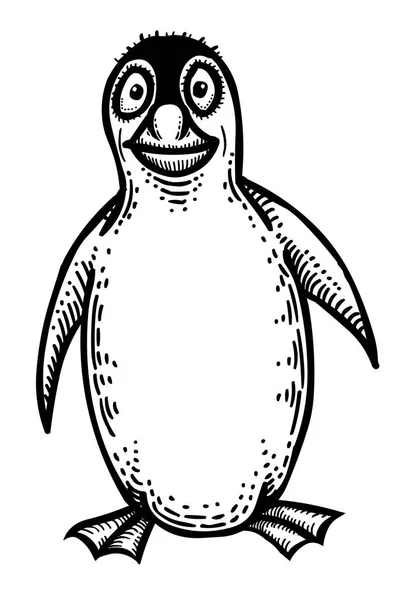 Карикатура на пингвина — стоковый вектор