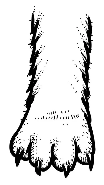 Εικόνα γάτα γελοιογραφία πόδι του εικονίδιο. Λογότυπο έννοια — Διανυσματικό Αρχείο