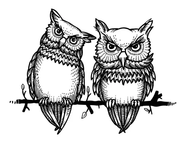 Cartoon afbeelding van schattige uilen — Stockvector