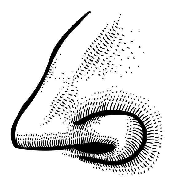 İnsan burnunun çizgi film resim — Stok Vektör