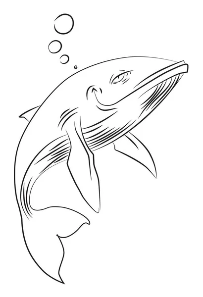 Imagen de dibujos animados de ballena feliz — Vector de stock