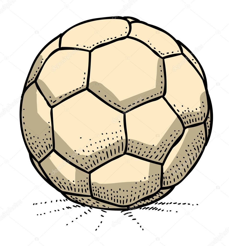 Cartoon image of Soccer ball Icon. Football symbol