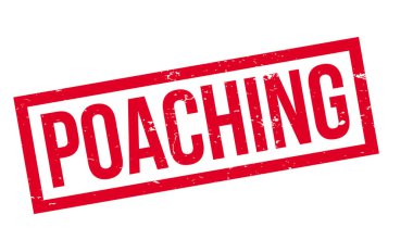 Lastik damgası kaçak avcılık