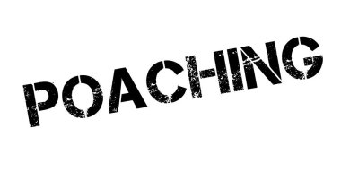 Lastik damgası kaçak avcılık