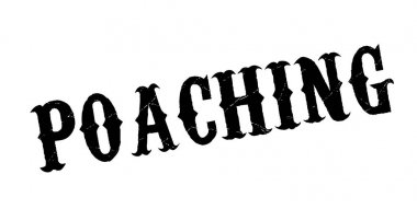 Lastik damgası kaçak avcılık