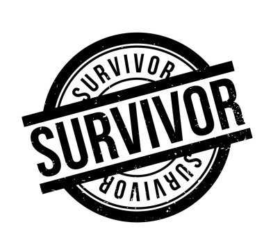 Survivor pencere boyutu