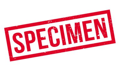 Numune pencere boyutu