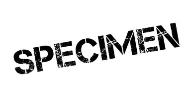 Numune pencere boyutu