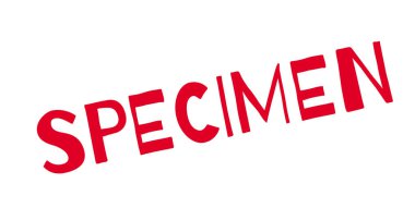 Numune pencere boyutu