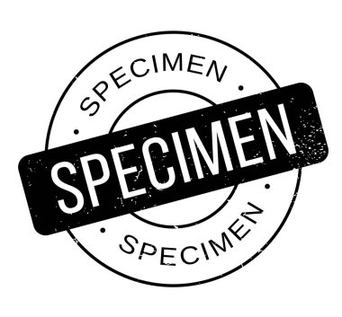 Numune pencere boyutu