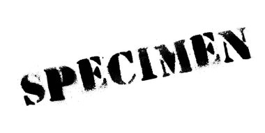 Numune pencere boyutu