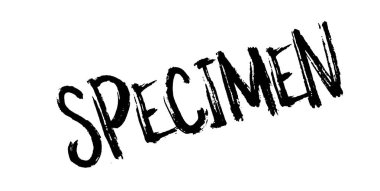 Numune pencere boyutu