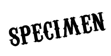 Numune pencere boyutu